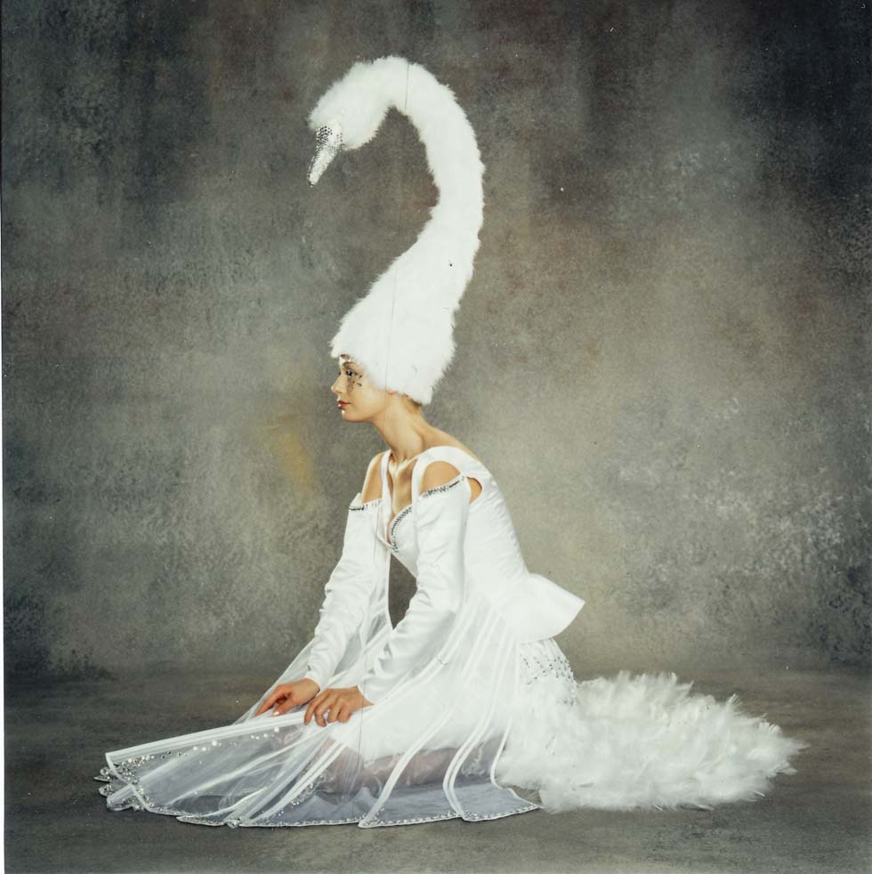 Swarovski-Swan